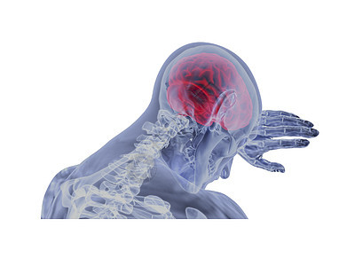 关于白色背景下大脑的几个问题  3d 渲染小脑药品心理学思考诊断x光扫描器官保健放射科图片