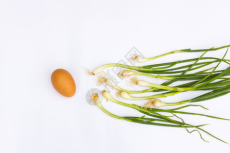 白背景上的扇子和鸡蛋 白底 概念性化肥生物蛋壳维生素生物学烧烤香葱动物女性性别细胞图片