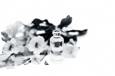 紧紧贴着阿拉曼达花的精油 在一小瓶透明的玻璃瓶里 还有白上孤立的花农业毛茛花朵植物群晴天热带藤蔓植物喇叭花瓣图片