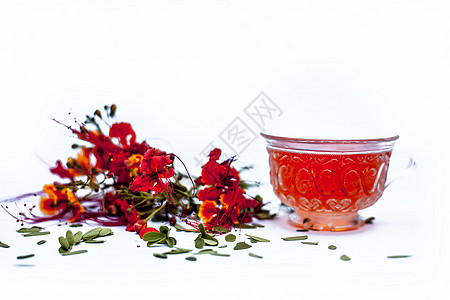 在一个透明的玻璃杯里 紧贴地拍下香草有机新鲜茶 孔雀花的鲜花 用白色孤立的花朵情调植物植物群橙子火焰树叶天堂异国花瓣云实图片