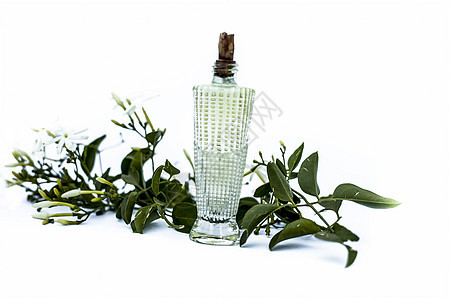 印度茉莉花或Juhi或的喷雾或香水贴近白色 用小瓶子和鲜花隔开茉莉气味喷雾器液体三叶草芳香样品奢华产品化妆品图片