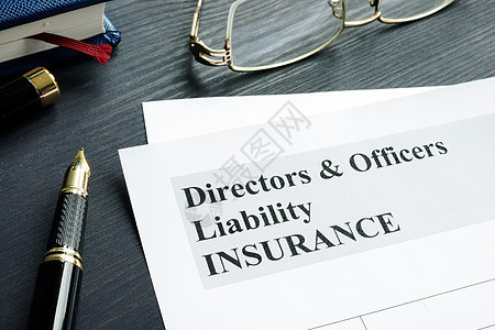 公司董事和职员责任D&O保险申请表图片