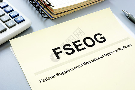 FSEOG方案文件 联邦补充教育机会赠款计划图片