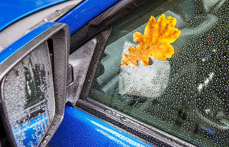 加州湿玻璃上的黄橡树叶雨滴反射季节橙子镜子街道橡木下雨窗户叶子图片