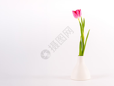 最小化花瓶的图利普花束花店风格婚礼装饰美丽仪式叶子植物礼物图片