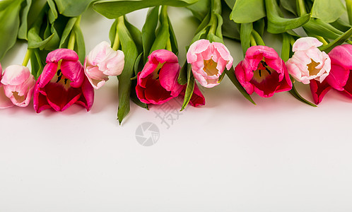 白色的清春新郁金香花店花园婚姻庆典装饰花瓶植物群风格美丽墙纸图片