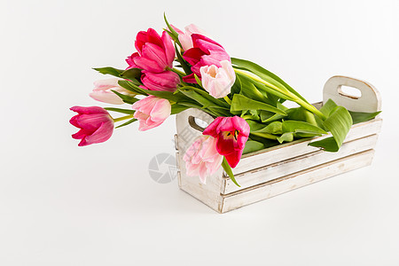 白盒子中的郁金香叶子植物礼物花园花店仪式美丽植物群风格婚姻图片