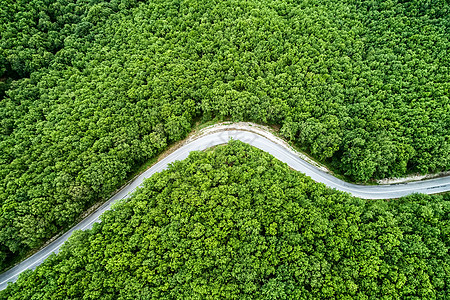 穿过森林的一条省级公路的空中景象nch阻塞卡车草原通道针叶货车天线交通场地运输图片