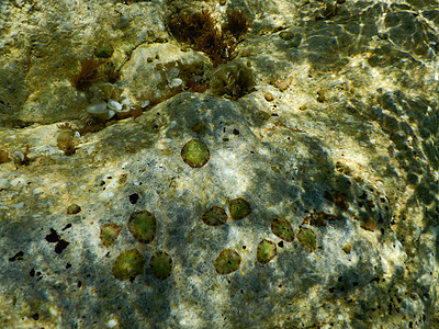 意大利利古里亚州诺利岩石上的石块图片