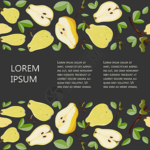 整个和切片的梨子无缝水平边框 在黑色上复制空间矢量图解线条剪贴簿插图食物作品叶子种子段落措辞饮食图片