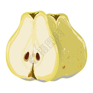 在白色背景矢量插图上 将梨子整片切成半块隔开黄色叶子种子梨图水果饮食健康绿色食物图片