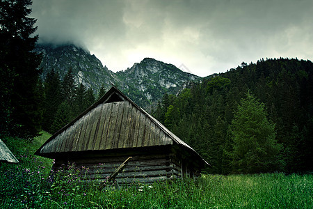 山地景观流动松树场地岩石小屋孤独山脉天空木头奶牛图片