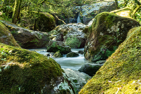 沙里安诺奇亚震动波丛林蹦极酸碱度风景急流岩石远足假期苔藓峡谷图片