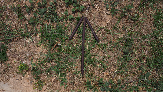 棍子和草箭头指向生存技能或 bushcraft 或军事或 signa图片