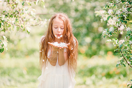 在美丽的春日 在盛开的苹果园里 可爱的小女孩园艺苹果树季节孩子公园花朵快乐花园享受眼睛图片