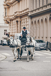 奥地利维也纳Fiaker 传统骑马教练哺乳动物游客旅游大车中心历史缰绳街道旅行耳朵图片