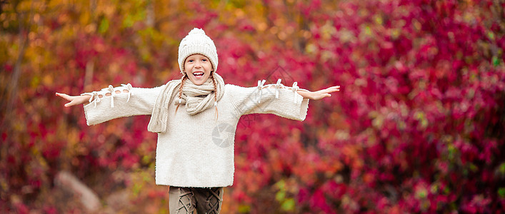 在美丽的秋天户外的美丽秋天 可爱的小女孩活动孩子草地幸福叶子喜悦公园季节快乐童年图片