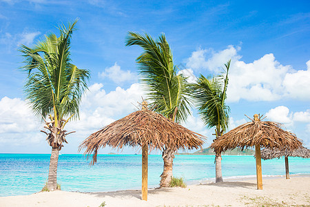 有白沙 绿绿海海水和大棕榈树的长堤热带海滩地平线植物情调棕榈支撑海景假期椰子海岸戏剧性图片