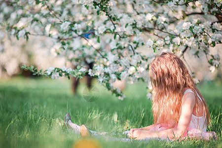 春日 在盛开樱花树花园的可爱小女孩快乐微笑孩子樱花季节假期女孩乐趣公园自由图片