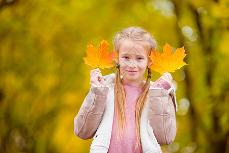 在美丽的秋天户外的美丽秋天 可爱的小女孩童年树叶情绪季节森林天气喜悦晴天孩子们草地图片
