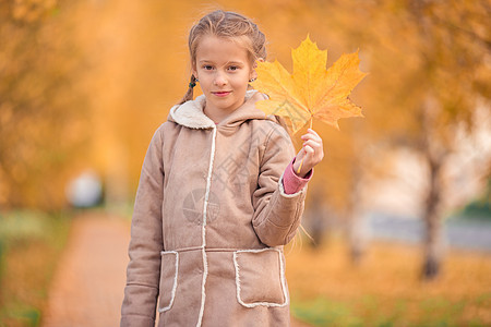 在美丽的秋天户外的美丽秋天 可爱的小女孩快乐草地公园叶子季节树叶活动幸福天气喜悦图片