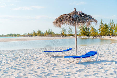 有白沙 绿绿海海水和大棕榈树的长堤热带海滩支撑海岸假期椰子风景海浪海洋植物海景旅行图片