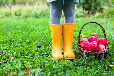 向小女孩提供红苹果和橡胶靴子的篮子感恩乡村院子水果女性园丁农业橡皮果园庭院图片