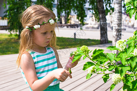 在花园的白花旁 可爱的小可爱女孩叶子玫瑰香味孩子空地喜悦农业快乐享受植物图片
