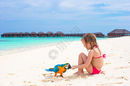 在海滩上可爱的小女孩 与多彩色鹦鹉在沙滩上假期海洋女孩旅行热带乐趣微笑喜悦海岸线旅游图片