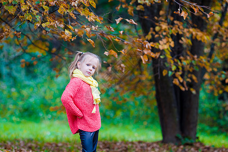 美丽的秋天 可爱的小女孩户外美丽秋天橙子季节树叶婴儿微笑晴天公园乐趣幸福叶子图片