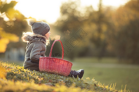 在寒冷的秋天户外 带着篮子的可爱小女孩公园橙子叶子快乐晴天树叶森林童年婴儿乐趣图片