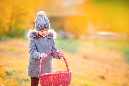 在寒冷的秋天户外 带着篮子的可爱小女孩女性微笑晴天树木快乐婴儿幸福树叶叶子森林图片