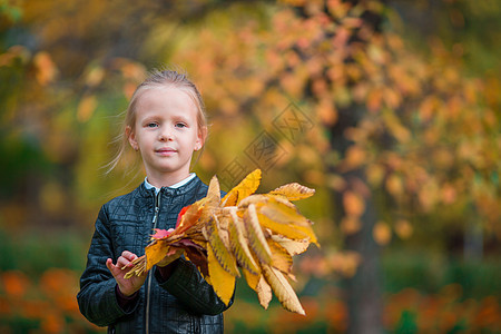 在美丽的秋天 带着黄色和橙色叶子的花束在户外放着可爱小女孩的肖像季节孩子情绪幸福快乐活动公园森林晴天喜悦图片
