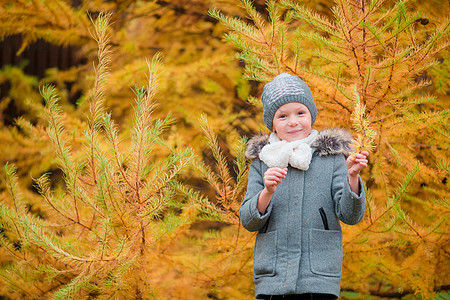 秋天 美丽女孩的肖像 黄色fir-tree图片