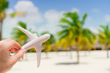 以奇异海滩和棕榈树背景为背景的飞机小型白色微型小飞机图片