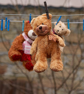 挂东西棕褐色的湿泰迪熊挂在衣绳上 烘干婴儿孩子洗衣店衣夹细绳乐趣玩具棕色蓝色夹子背景