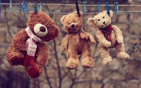 挂东西三只可爱的棕褐色湿泰迪熊 挂在衣绳上背景