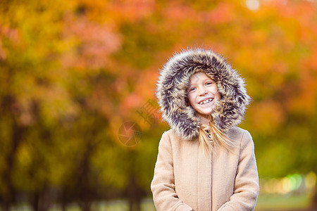 在美丽的秋天 户外可爱小女孩的肖像画公园童年快乐孩子们孩子树叶喜悦幸福森林草地图片