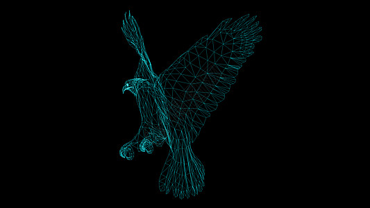 Eagl 的隔离低聚图形设计自由翼展线条标识翅膀金属动物绘画荒野3d图片