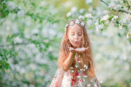 在美丽的春日 在盛开的苹果园里 可爱的小女孩微笑孩子季节园艺公园享受花朵花园苹果树童年图片