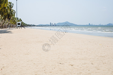 美丽的海滩 有白沙 椰子树和清蓝的天空椰子海岸线冲浪支撑海景海浪天气海岸风景阳光图片