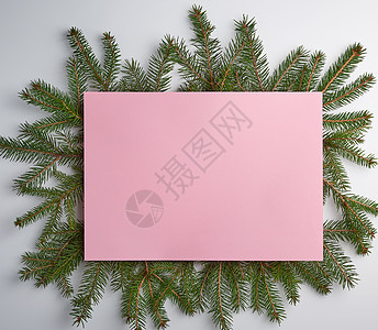 祝贺圣诞背景 带有空粉红薄纸 和卡片风格季节云杉框架明信片庆典植物花圈问候语图片