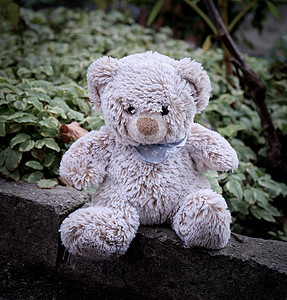 白天坐在路边的小泰迪熊毛皮孩子玩具裂缝乡愁童年动物娃娃木头孤独背景图片
