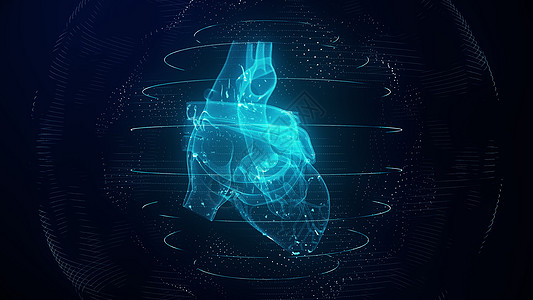解剖学上正确的蓝色数字人类心脏 未来粒子心脏 sca无缝监控核磁共振医院x射线器官3d药品疾病扫描图片