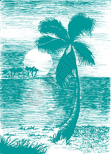 与 pal 的矢量热带夏季插画城市海滩海洋打印横幅海浪岛屿冲浪海报假期图片