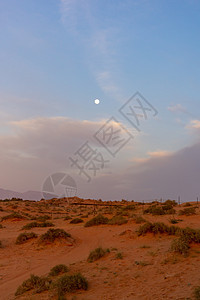 阿拉伯联合酋长国沙漠沙丘的日落之夜图片