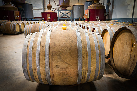 葡萄酒厂地窖里的酒桶酒厂栽培店铺库存木桶酒精食物贮存软木酒窖图片
