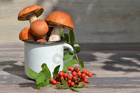 美丽的白杨蘑菇在桌子上的金属杯中 橙盖牛肝菌组合物图片