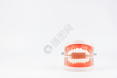 用于研究口腔卫生的亚克力人颌模型牙医理念诊所微笑医生护理矫正牙齿学习口服图片
