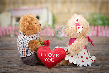 熊装饰潮人礼物女孩朋友玩具假期玫瑰枕头合金背景图片